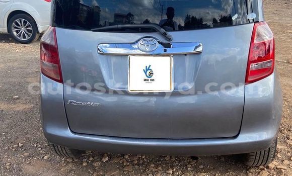 Buy Used Toyota Ractis Other Car in Bura in Northeast Kenya Buy Used Toyota Ractis Other Car in Bura in Northeast Kenya