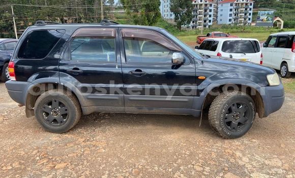 Buy Used Ford Escape Black Car in Bomet in Rift Valley Buy Used Ford Escape Black Car in Bomet in Rift Valley