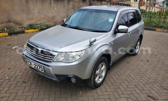Buy Used Subaru Forester Other Car in Nairobi in Nairobi Buy Used Subaru Forester Other Car in Nairobi in Nairobi