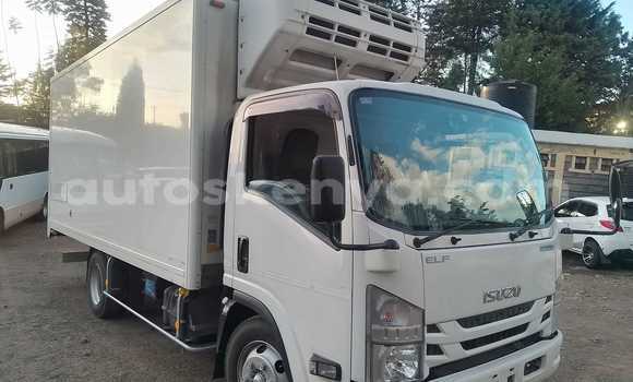Buy Used Isuzu Elf White Truck in Bura in Northeast Kenya Buy Used Isuzu Elf White Truck in Bura in Northeast Kenya