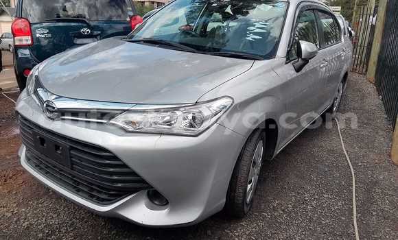 Buy Used Toyota Axio Other Car in Bura in Northeast Kenya Buy Used Toyota Axio Other Car in Bura in Northeast Kenya