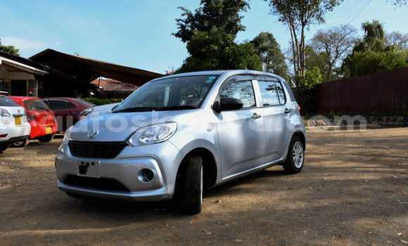 Buy Used Toyota Passo Other Car in Bungoma in West Kenya Buy Used Toyota Passo Other Car in Bungoma in West Kenya