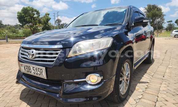 Oofamaa Toyota Vanguard Black Makiinaa iti Bura keessatti Northeast Kenya keessatti