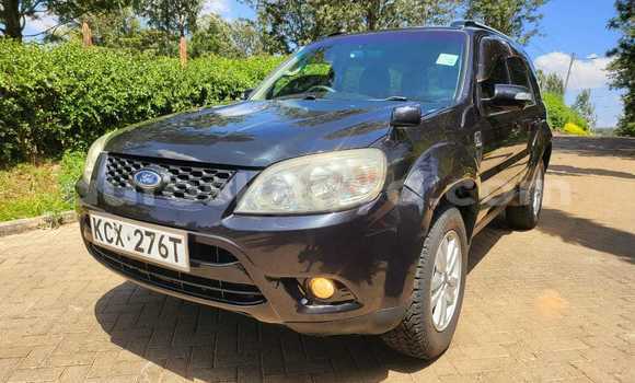 Buy Used Ford Escape Black Car in Busia in West Kenya Buy Used Ford Escape Black Car in Busia in West Kenya