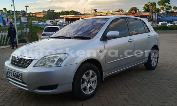 Oofamaa Toyota Runx Silver Makiinaa iti Nairobi keessatti Nairobi keessatti Oofamaa Toyota Runx Silver Makiinaa iti Nairobi keessatti Nairobi keessatti