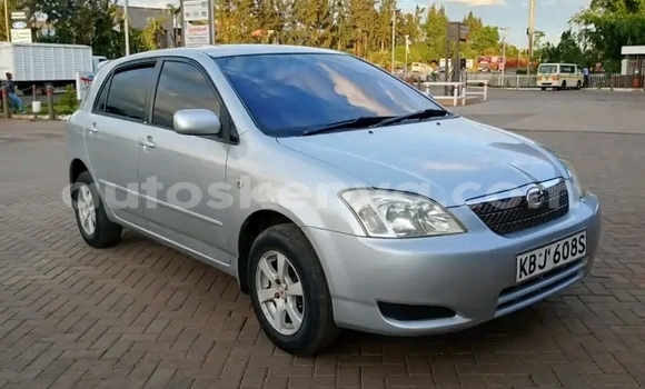Oofamaa Toyota Runx Silver Makiinaa iti Nairobi keessatti Nairobi keessatti Oofamaa Toyota Runx Silver Makiinaa iti Nairobi keessatti Nairobi keessatti