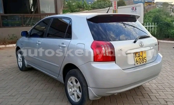 Oofamaa Toyota Runx Silver Makiinaa iti Nairobi keessatti Nairobi keessatti Oofamaa Toyota Runx Silver Makiinaa iti Nairobi keessatti Nairobi keessatti