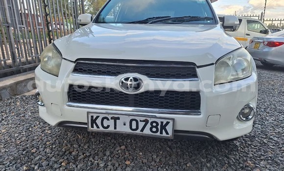 Buy Used Toyota RAV4 White Car in Bute in Northeast Kenya