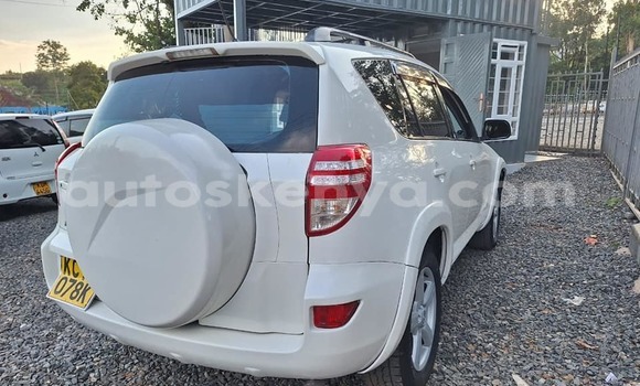 Oofamaa Toyota RAV4 White Makiinaa iti Bute keessatti Northeast Kenya keessatti Oofamaa Toyota RAV4 White Makiinaa iti Bute keessatti Northeast Kenya keessatti