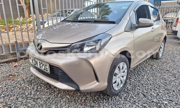 Oofamaa Toyota Vitz Other Makiinaa iti Bute keessatti Northeast Kenya keessatti Oofamaa Toyota Vitz Other Makiinaa iti Bute keessatti Northeast Kenya keessatti