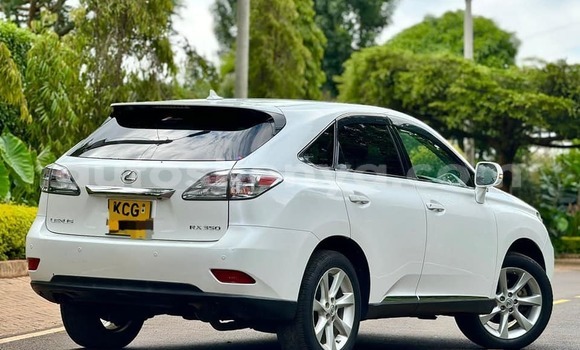 Oofamaa Lexus RX 350 White Makiinaa iti Nairobi keessatti Nairobi keessatti Oofamaa Lexus RX 350 White Makiinaa iti Nairobi keessatti Nairobi keessatti