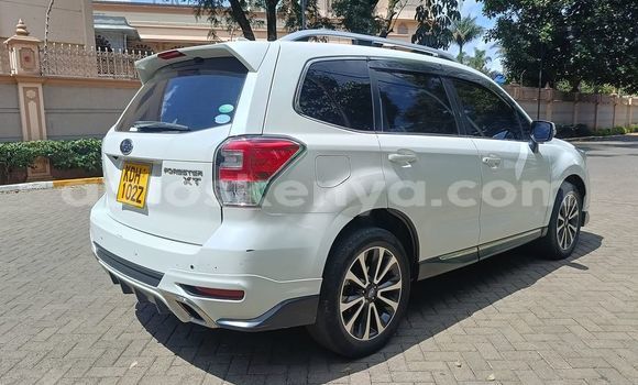 Buy Used Subaru Forester Other Car in Bissil in Nairobi Buy Used Subaru Forester Other Car in Bissil in Nairobi