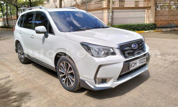 Oofamaa Subaru Forester Other Makiinaa iti Bura keessatti Northeast Kenya keessatti Oofamaa Subaru Forester Other Makiinaa iti Bura keessatti Northeast Kenya keessatti