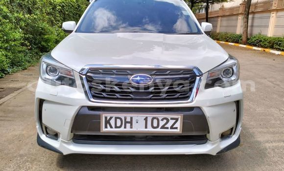Oofamaa Subaru Forester Other Makiinaa iti Bura keessatti Northeast Kenya keessatti Oofamaa Subaru Forester Other Makiinaa iti Bura keessatti Northeast Kenya keessatti