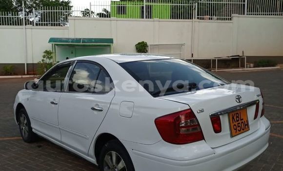 Oofamaa Toyota Premio Other Makiinaa iti Bura keessatti Northeast Kenya keessatti Oofamaa Toyota Premio Other Makiinaa iti Bura keessatti Northeast Kenya keessatti