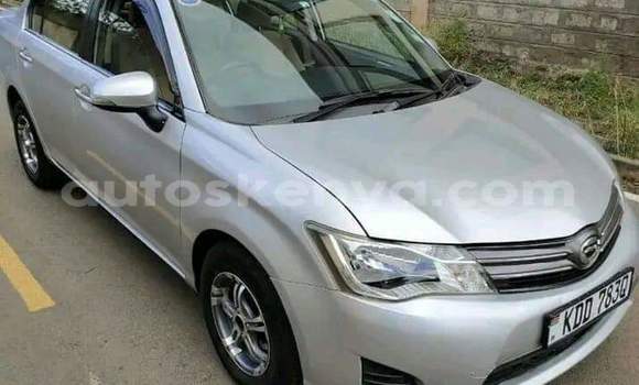 Buy Used Toyota Axio Other Car in Bute in Northeast Kenya Buy Used Toyota Axio Other Car in Bute in Northeast Kenya