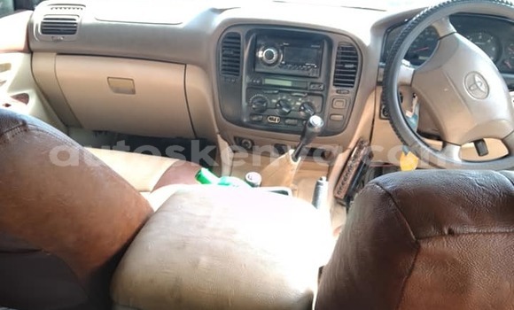 Oofamaa Ford Ranger Other Makiinaa iti Bungoma keessatti West Kenya keessatti