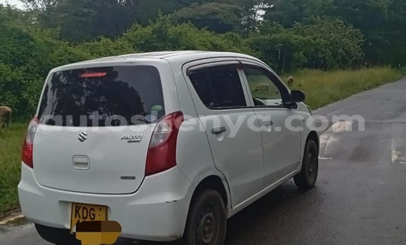 Buy Used Suzuki Alto White Car in Bungoma in West Kenya Buy Used Suzuki Alto White Car in Bungoma in West Kenya