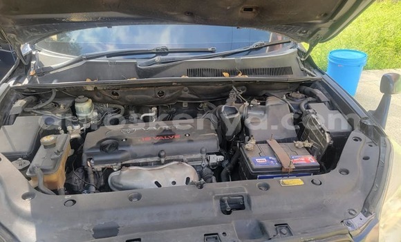 Buy Used Toyota RAV4 Black Car in Bute in Northeast Kenya Buy Used Toyota RAV4 Black Car in Bute in Northeast Kenya