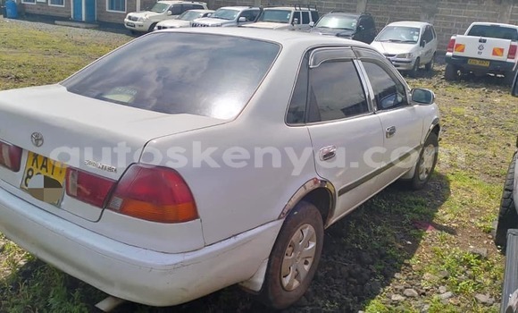Oofamaa Toyota Sprinter White Makiinaa iti Bute keessatti Northeast Kenya keessatti