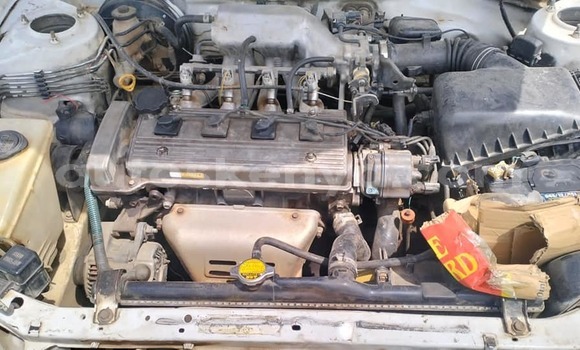 Buy Used Toyota Sprinter White Car in Bute in Northeast Kenya Buy Used Toyota Sprinter White Car in Bute in Northeast Kenya