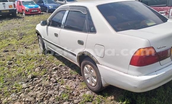 Buy Used Toyota Sprinter White Car in Bute in Northeast Kenya Buy Used Toyota Sprinter White Car in Bute in Northeast Kenya