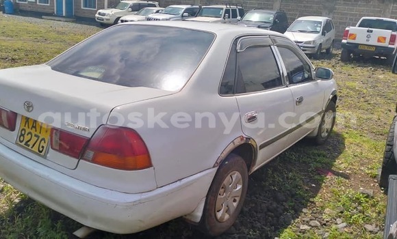 Buy Used Toyota Sprinter White Car in Bute in Northeast Kenya Buy Used Toyota Sprinter White Car in Bute in Northeast Kenya