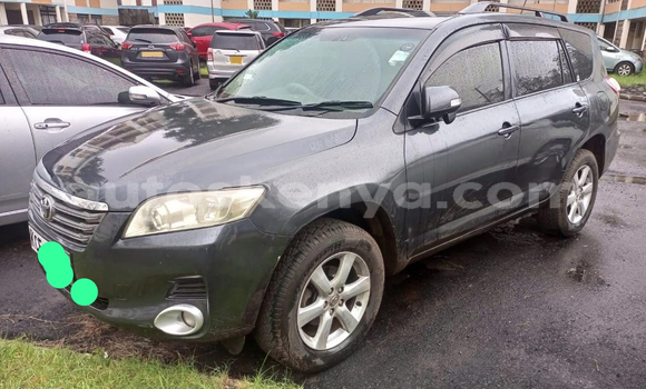 Buy Used Toyota Vanguard Silver Car in Nairobi in Nairobi Buy Used Toyota Vanguard Silver Car in Nairobi in Nairobi