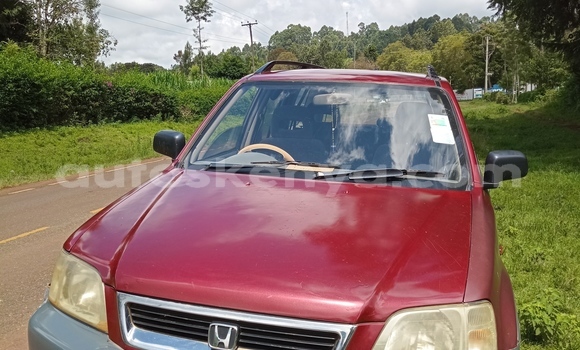 Buy Used Honda CR–V Red Car in Meru in East Kenya