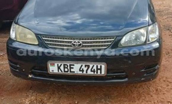 Nunua Ilio tumika Toyota Spacio Nyeusi Gari ndani ya Busia nchini West Kenya