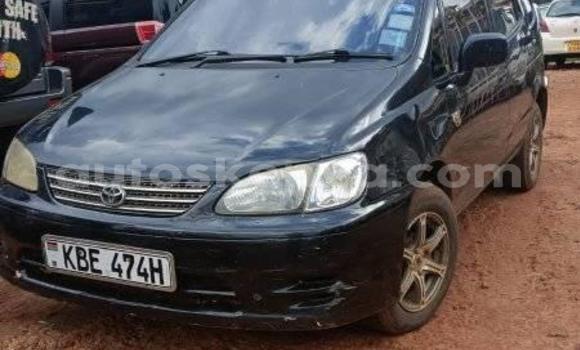 Buy Used Toyota Spacio Black Car in Busia in West Kenya Buy Used Toyota Spacio Black Car in Busia in West Kenya
