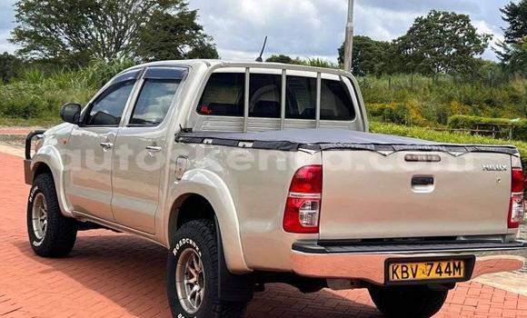 Buy Used Toyota Hilux Other Car in Bungoma in West Kenya