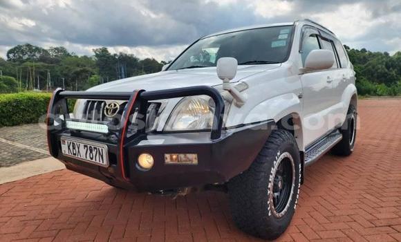 Buy Used Toyota Prado White Car in Bomet in Rift Valley Buy Used Toyota Prado White Car in Bomet in Rift Valley