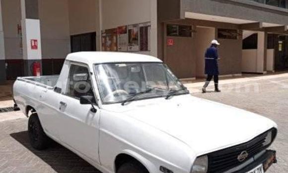 Oofamaa Nissan Datsun White Makiinaa iti Bungoma keessatti West Kenya keessatti