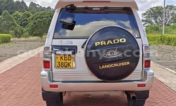 Buy Used Toyota Land Cruiser Prado Other Car in Bungoma in West Kenya Buy Used Toyota Land Cruiser Prado Other Car in Bungoma in West Kenya