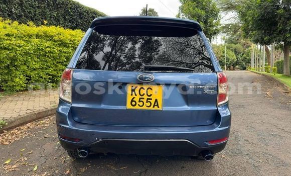 Buy Used Subaru Forester Blue Car in Bura in Northeast Kenya Buy Used Subaru Forester Blue Car in Bura in Northeast Kenya