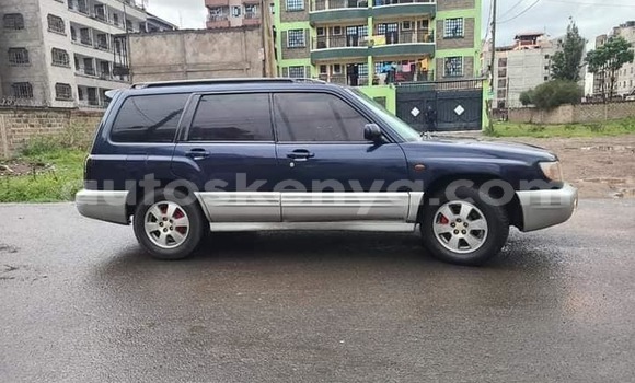 Buy Used Subaru Forester Black Car in Bura in Northeast Kenya Buy Used Subaru Forester Black Car in Bura in Northeast Kenya