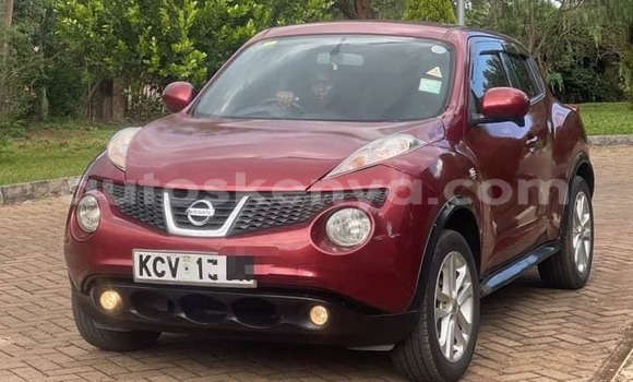 Buy Used Nissan Juke Red Car in Bute in Northeast Kenya Buy Used Nissan Juke Red Car in Bute in Northeast Kenya