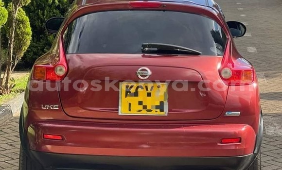 Buy Used Nissan Juke Red Car in Bute in Northeast Kenya Buy Used Nissan Juke Red Car in Bute in Northeast Kenya