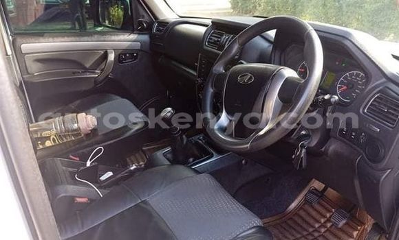 Oofamaa Eagle Premier Other Makiinaa iti Mambrui keessatti Coast keessatti Oofamaa Eagle Premier Other Makiinaa iti Mambrui keessatti Coast keessatti