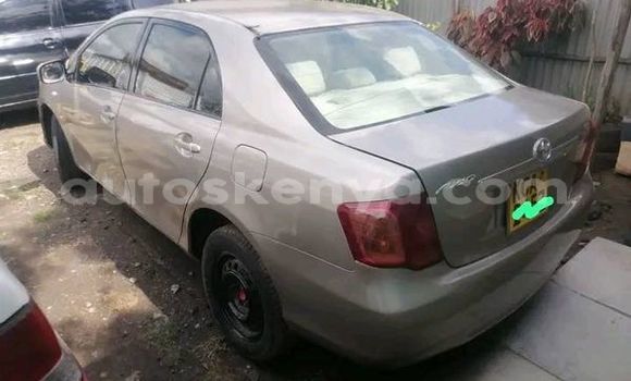 Buy Used Toyota Axio Other Car in Bura in Northeast Kenya Buy Used Toyota Axio Other Car in Bura in Northeast Kenya