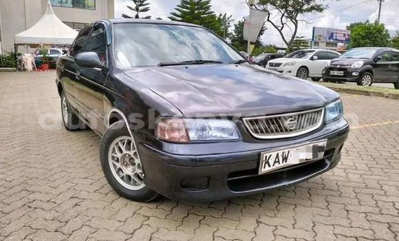 Buy Used Nissan BE-1 Other Car in Bute in Northeast Kenya Buy Used Nissan BE-1 Other Car in Bute in Northeast Kenya