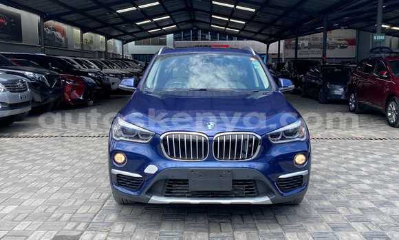Nunua Imported BMW X1 Bluu Gari ndani ya Mombasa nchini Kenya ya Pwani