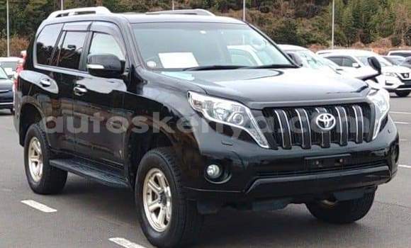 Imported Toyota Land Cruiser Prado Black Makiinaa iti Mombasa keessatti Coastal Kenya keessatti Imported Toyota Land Cruiser Prado Black Makiinaa iti Mombasa keessatti Coastal Kenya keessatti