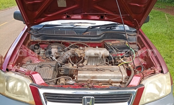 Oofamaa Honda CR–V Red Makiinaa iti Meru keessatti East Kenya keessatti Oofamaa Honda CR–V Red Makiinaa iti Meru keessatti East Kenya keessatti