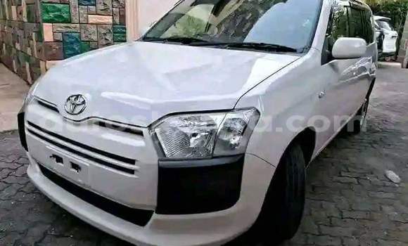 Imported Toyota Probox Silver Makiinaa iti Mombasa keessatti Coastal Kenya keessatti Imported Toyota Probox Silver Makiinaa iti Mombasa keessatti Coastal Kenya keessatti