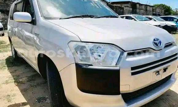 Imported Toyota Probox Silver Makiinaa iti Mombasa keessatti Coastal Kenya keessatti Imported Toyota Probox Silver Makiinaa iti Mombasa keessatti Coastal Kenya keessatti