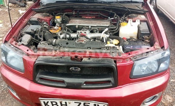 Buy Used Subaru Forester Red Car in Busia in West Kenya Buy Used Subaru Forester Red Car in Busia in West Kenya