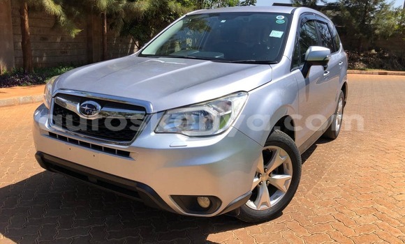 Nunua Ilio tumika Subaru Forester Nyingine Gari ndani ya Bura nchini Kaskazini Mashariki mwa Kenya Nunua Ilio tumika Subaru Forester Nyingine Gari ndani ya Bura nchini Kaskazini Mashariki mwa Kenya