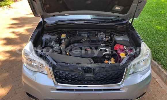 Buy Used Subaru Forester Other Car in Bura in Northeast Kenya Buy Used Subaru Forester Other Car in Bura in Northeast Kenya